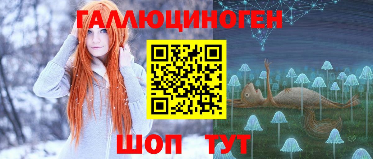 Псилоцибиновые грибы Psilocybine cubensis Звенигород